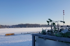 LSV_winter_4