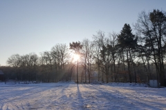 LSV_winter_6